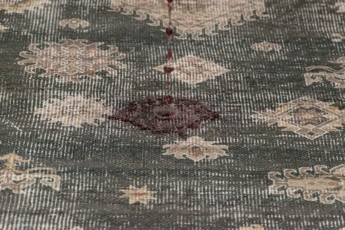 Aura Traditional Rug - 9' x 12' - Charcoal/Cream - Image 5