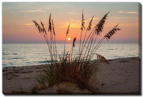 Dune Silhouette Wall Art - Orange/Brown - 16 X 20