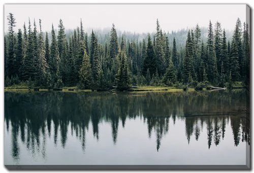 Forest Echo Wall Art - Green - 16 X 20
