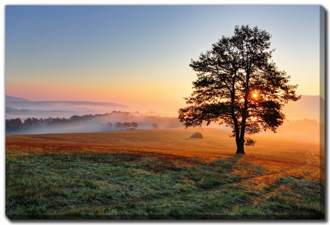 Rooted in Light Wall Art - Blue/Green/Orange - 30 X 45